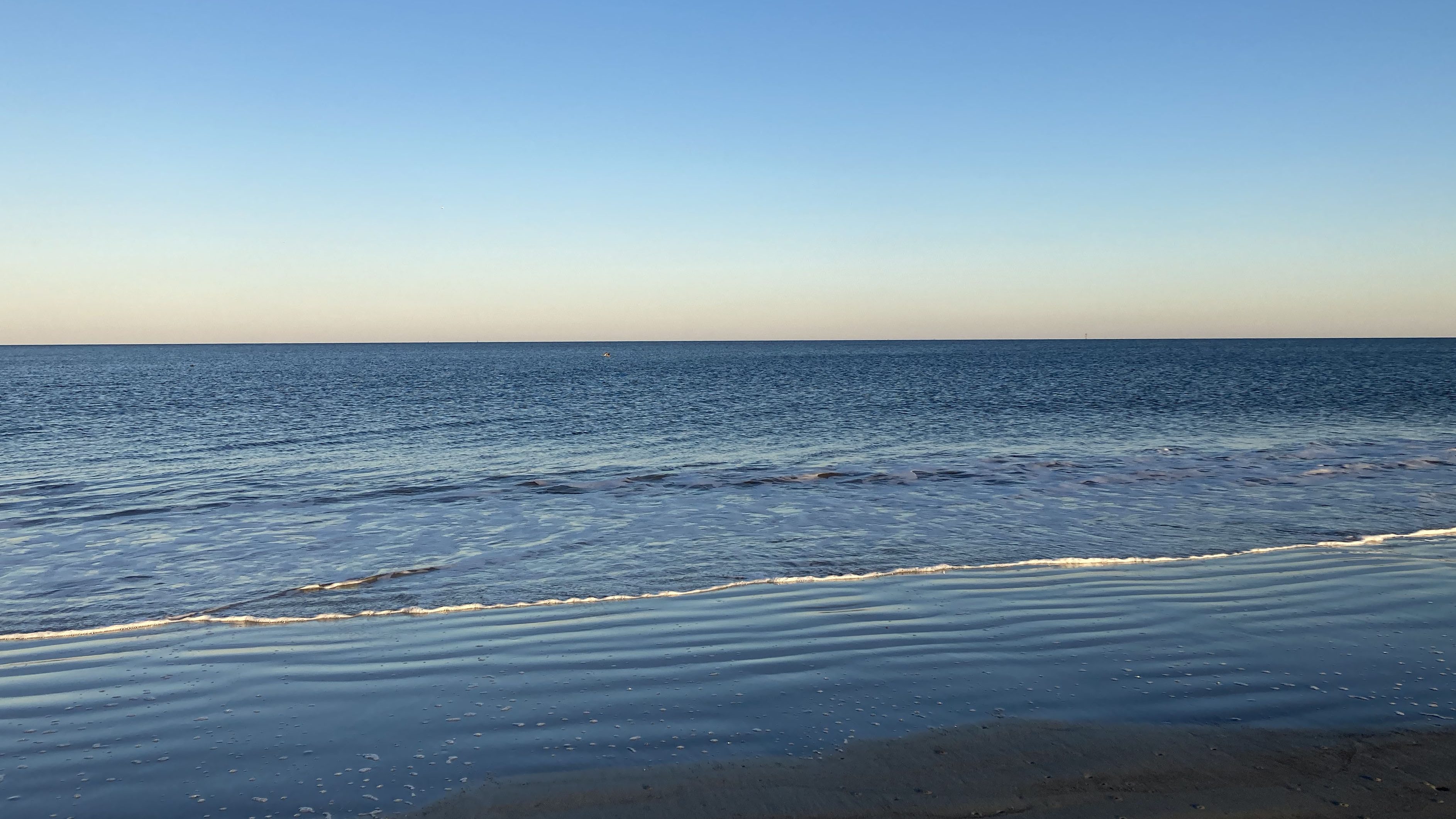 Of Wonders & Wanders